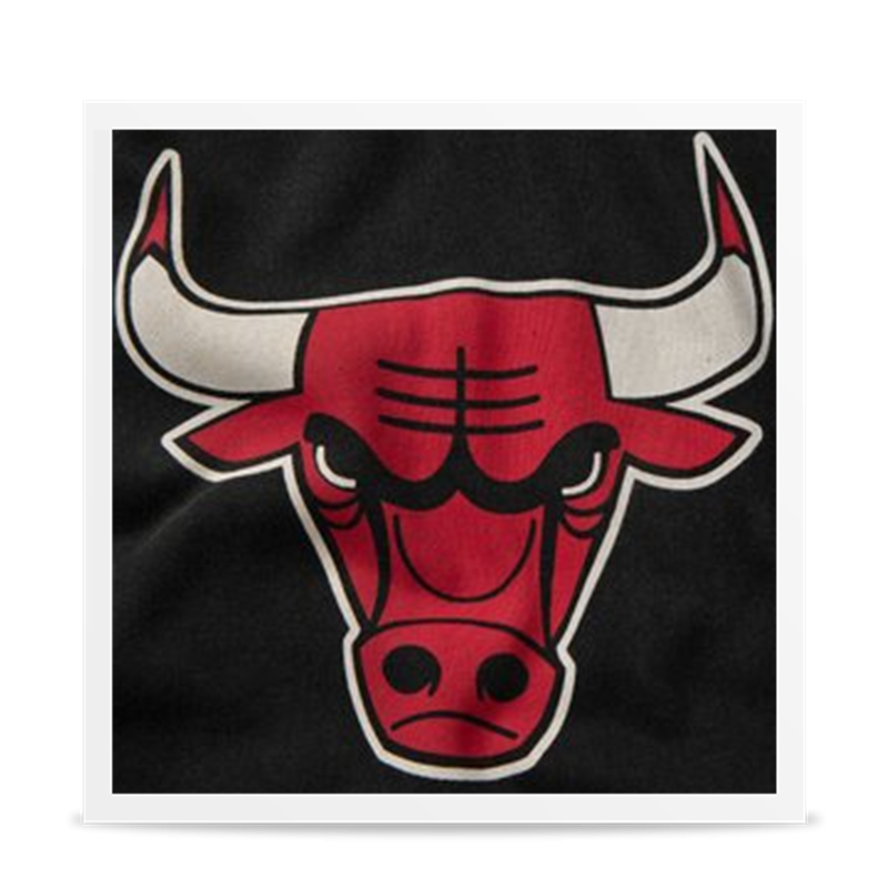 Chicago Bulls Worn Logo Hoodie
