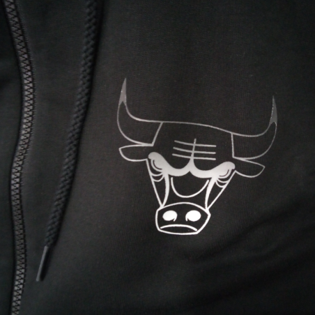Sudadera NBA Back Fade Logo Chicago Bulls