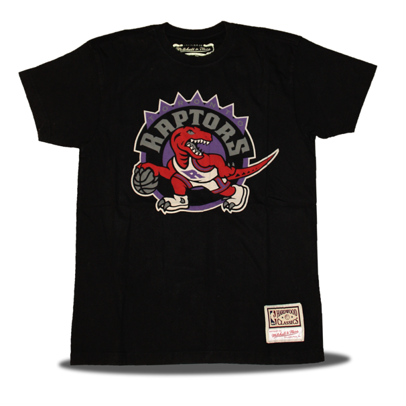 Camiseta Worn Logo Toronto Raptors
