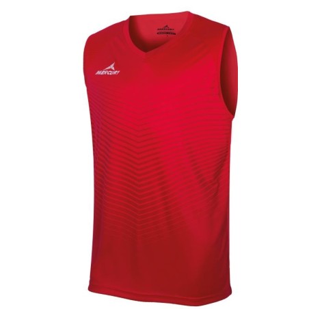 copy of MERCURY DETROIT