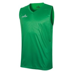 copy of MERCURY DETROIT 2