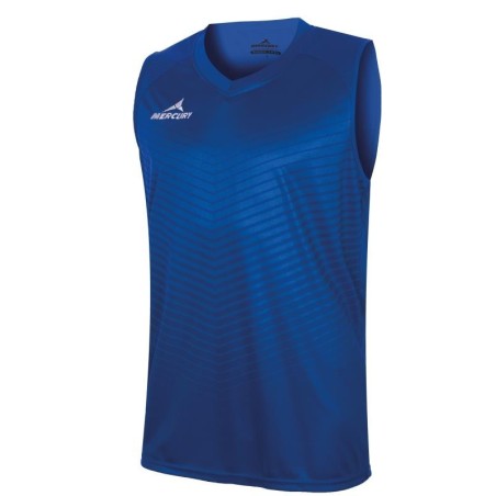 copy of MERCURY DETROIT