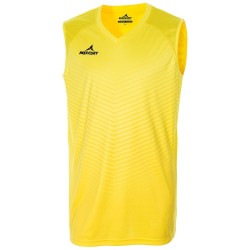 copy of MERCURY DETROIT 2